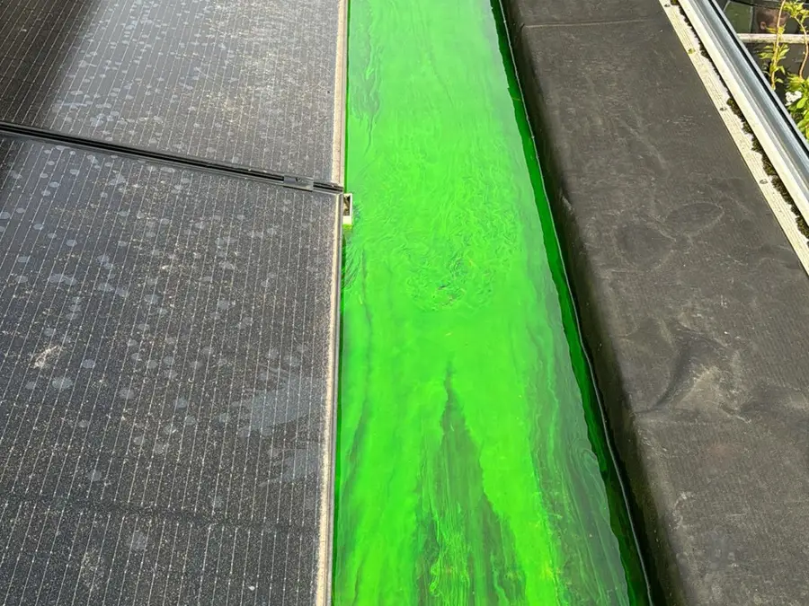 Proef met fluorescerende kleurstof in een dakgoot naast zonnepanelen